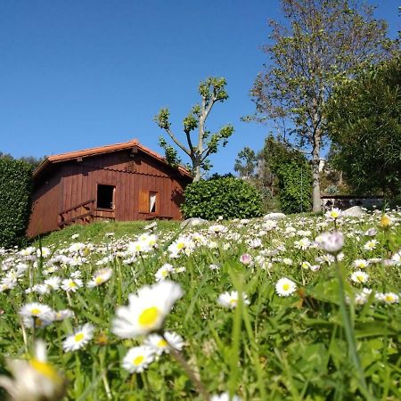 Rincon De Sira Guest House Cee Eksteriør bilde